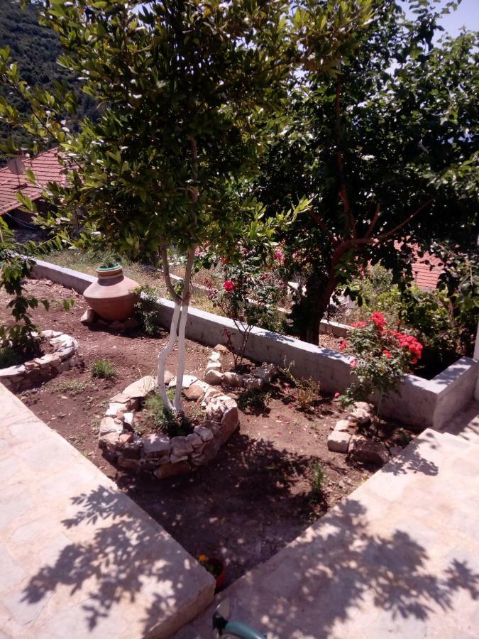 Dimitra'S Garden Villa Kallirákhi Zewnętrze zdjęcie