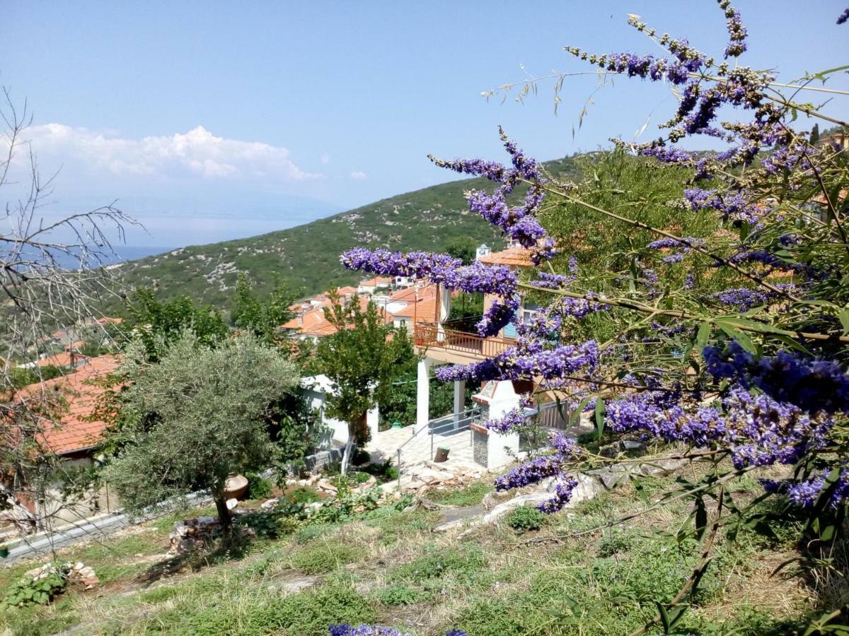 Dimitra'S Garden Villa Kallirákhi Zewnętrze zdjęcie